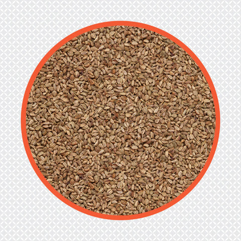 Ajwain Seed(アジワイン・シード)